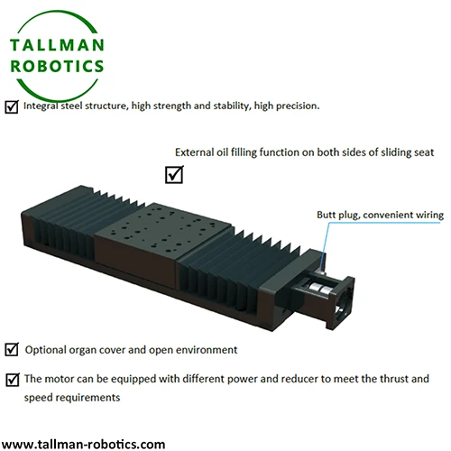 Heavy Duty Linear Translation Module